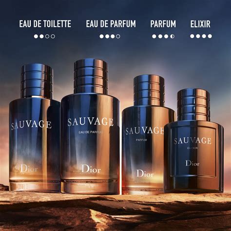 if you like dior sauvage you will like|dior sauvage differences.